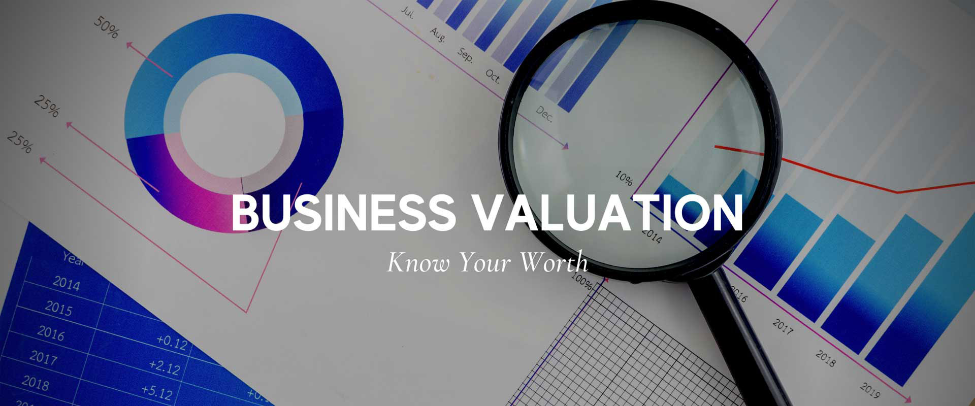 Business Valuation - Valuation Fraud & Forensics - Texas