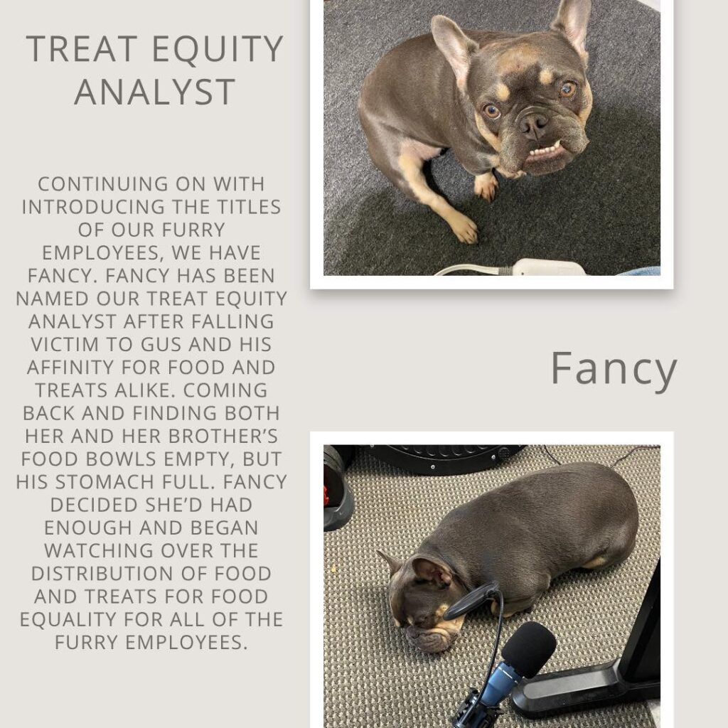 Fancy – Treat Equity Analyst