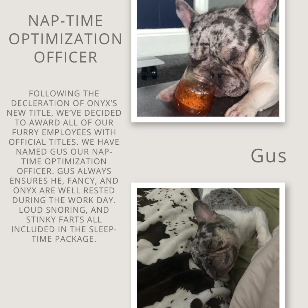 Gus – Nap-Time Optimization Officer