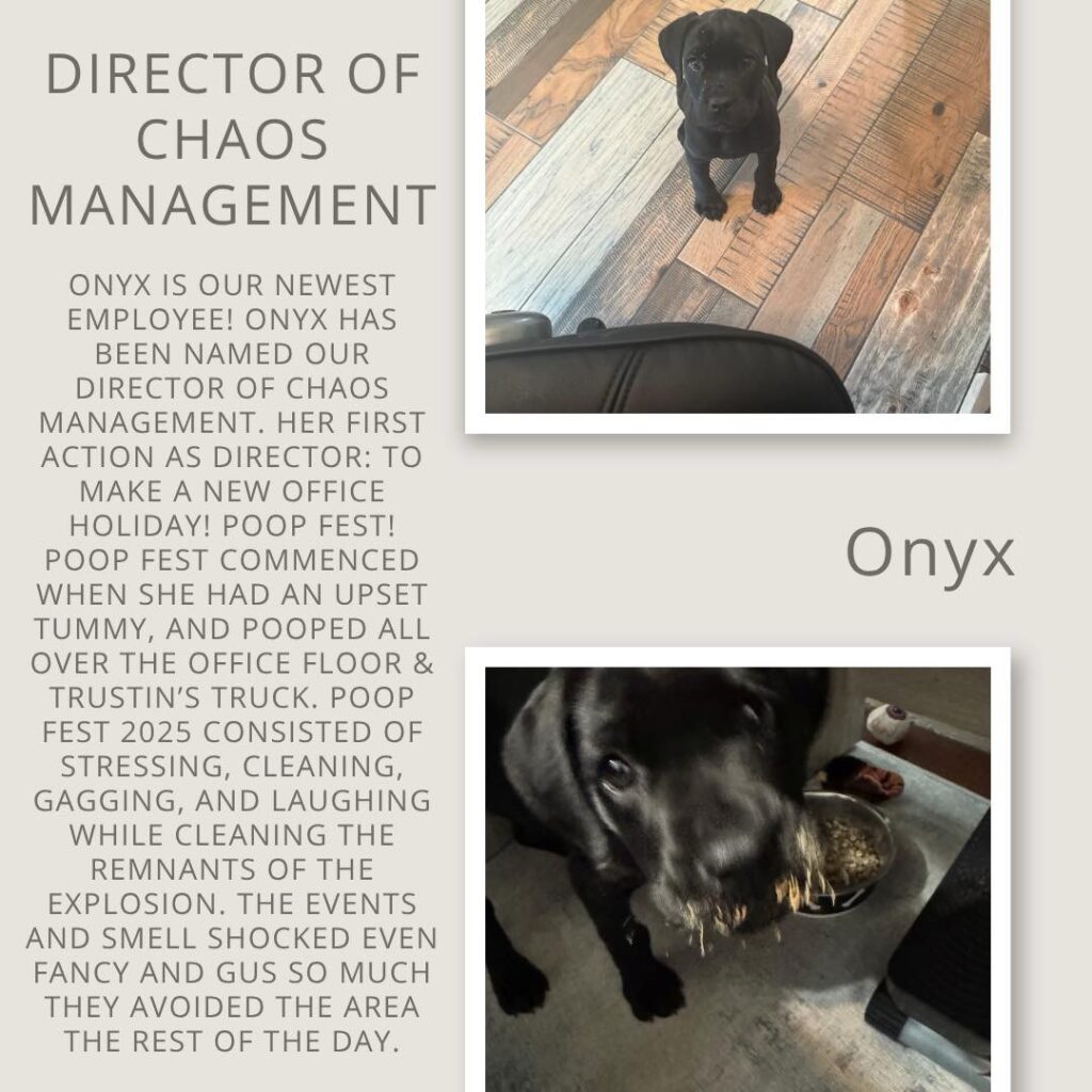 Onyx – Director of Chaos Management
